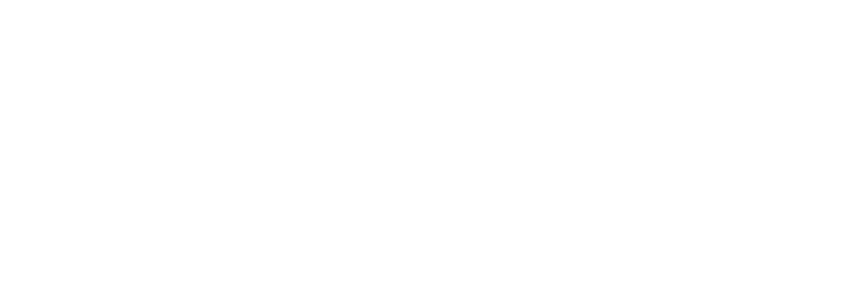 BML – Business Mindset Limited